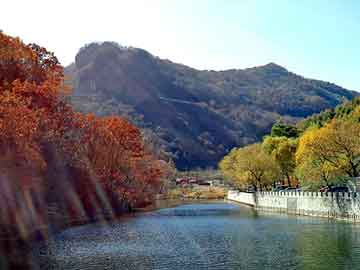 管家婆黑白马报图库，xiaoshu